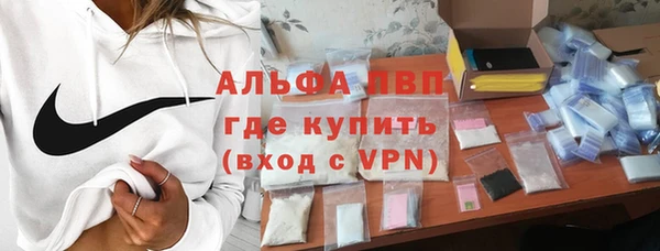 стафф Гатчина