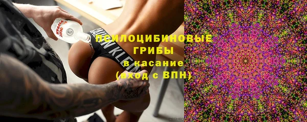 альфа пвп Алексеевка