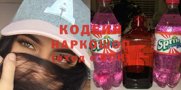 гашик Алзамай