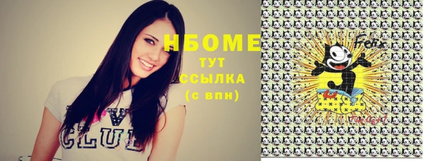 бошки Алексин
