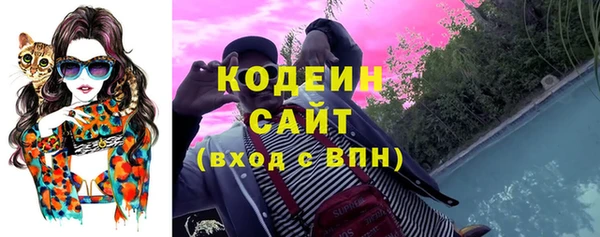 гашик Алзамай