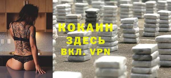 бошки Алексин